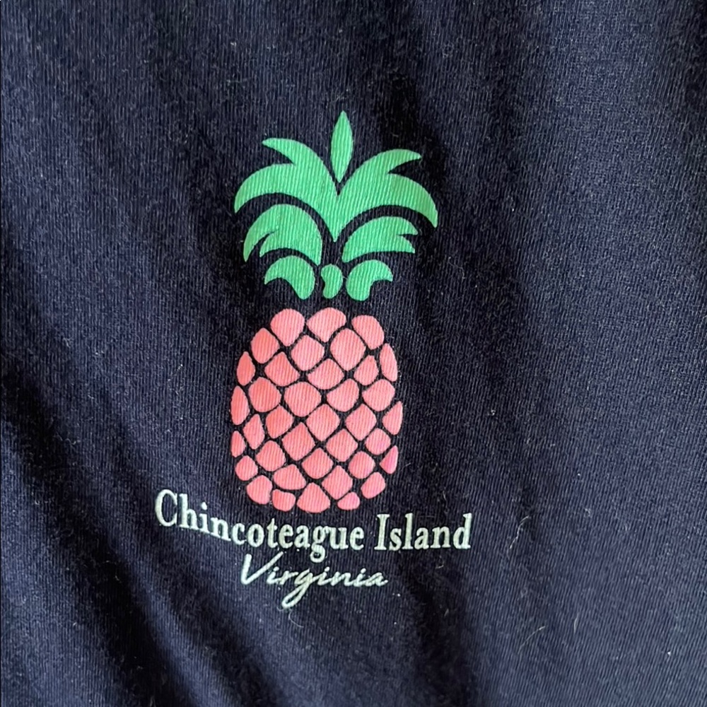 Chincoteague Island Graphic Tee